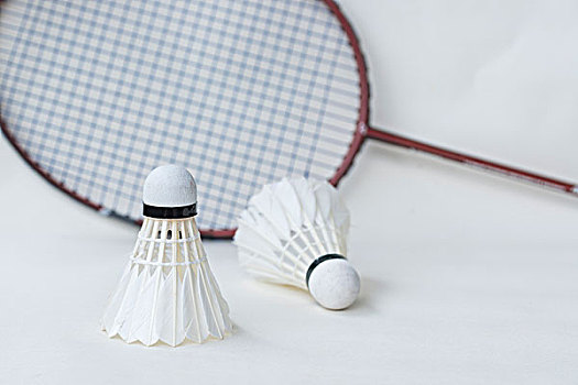 培养自己的 培养自己的