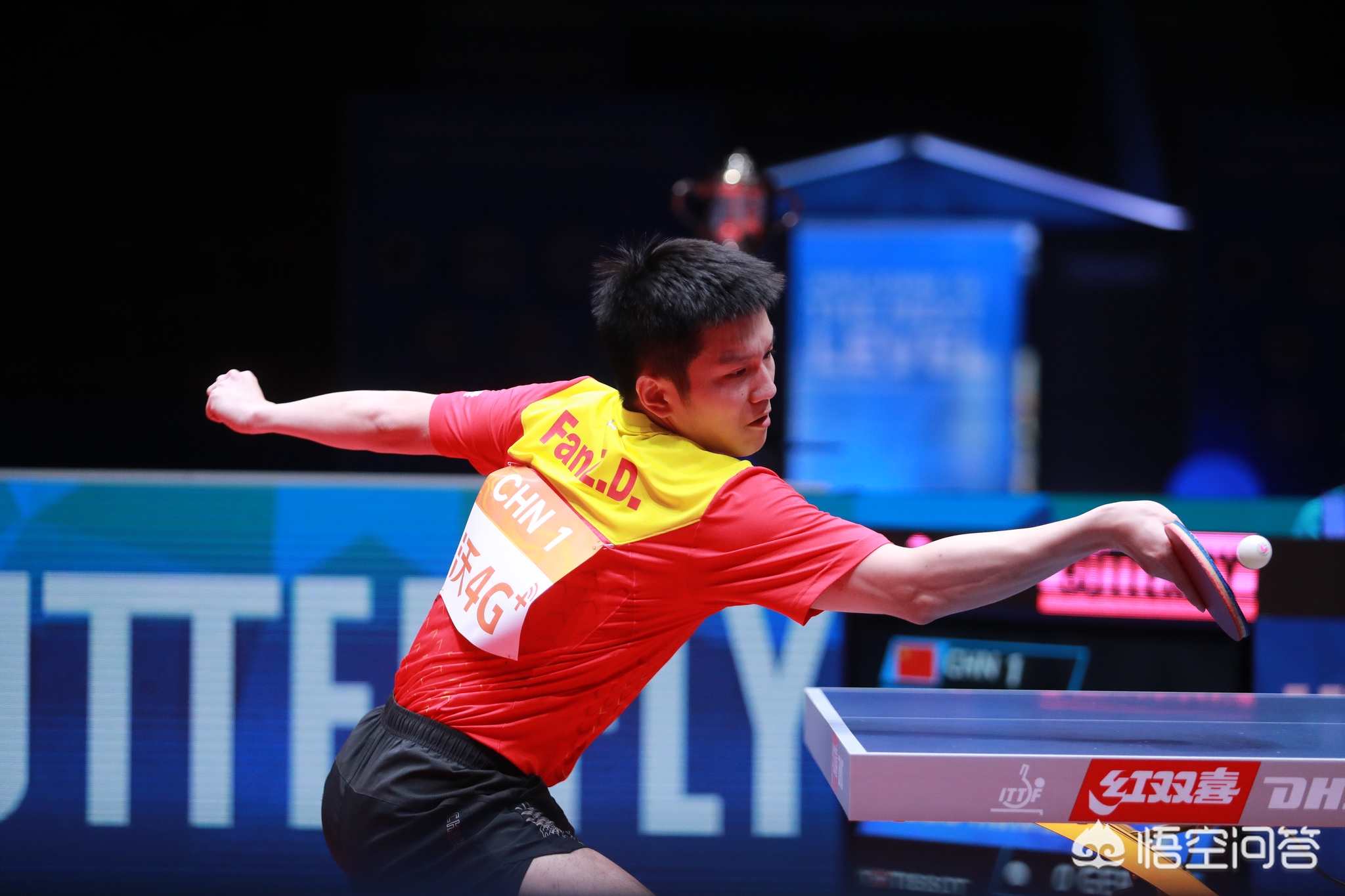 托纳利拥有 托纳利拥有