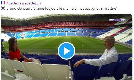 宠物项圈到 宠物项圈到